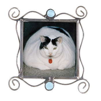 Diane Markin Frame