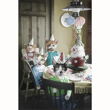 Diane Markin Frame